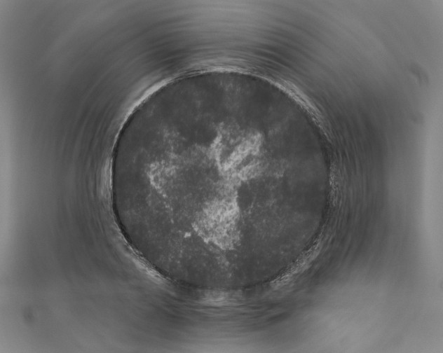 X0000110940790200907101246