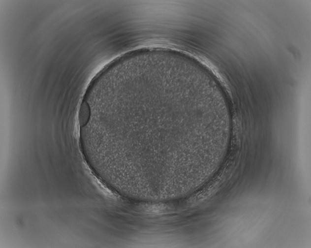 X0000110940791200907101246