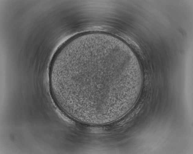 X0000110940792200907101246