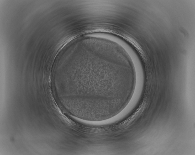 X0000110940793200907101246