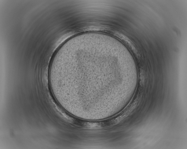 X0000110940794200907101246