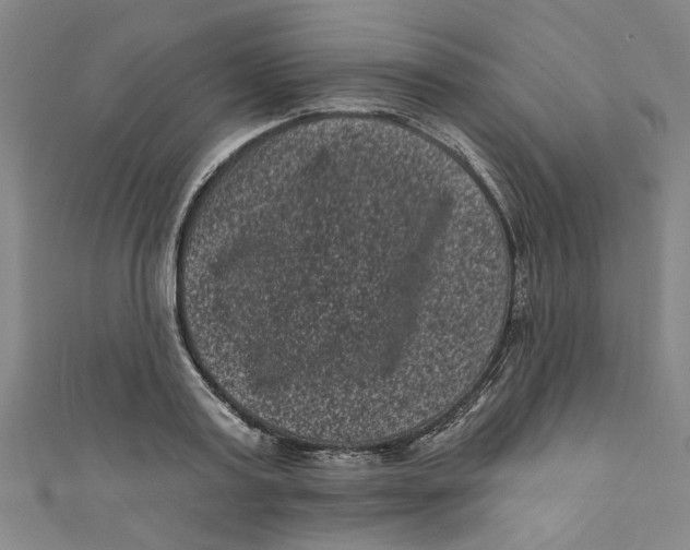 X0000110940795200907101246