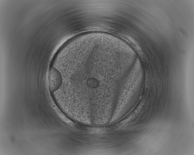 X0000110940796200907101246