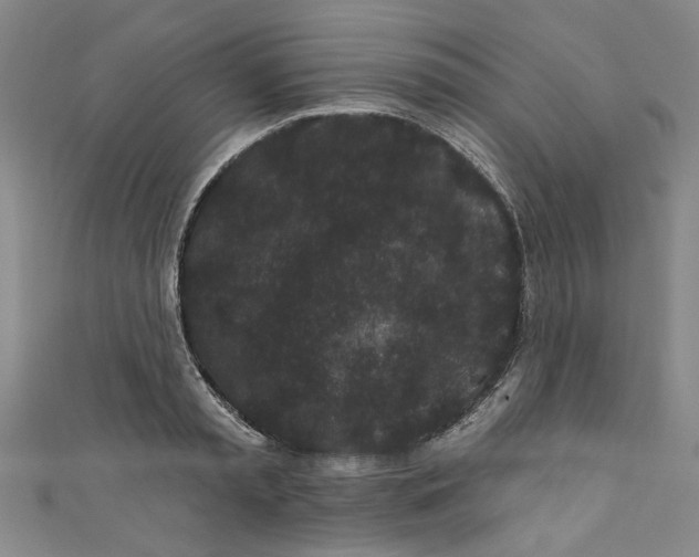 X0000110940797200907101246