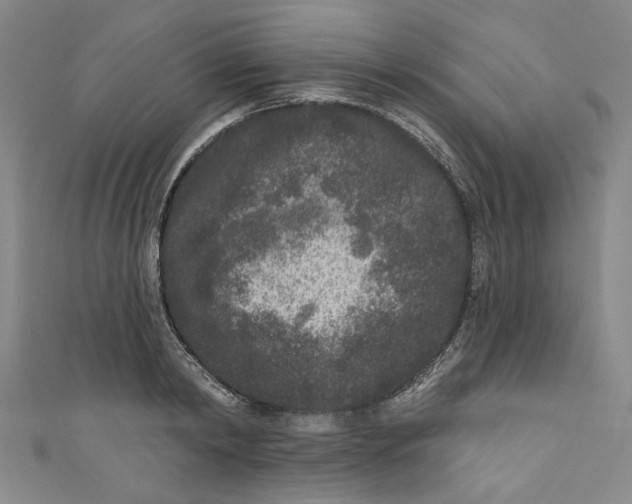 X0000110940798200907101246