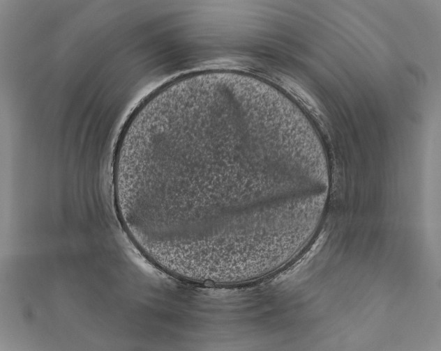 X0000110940800200907101246