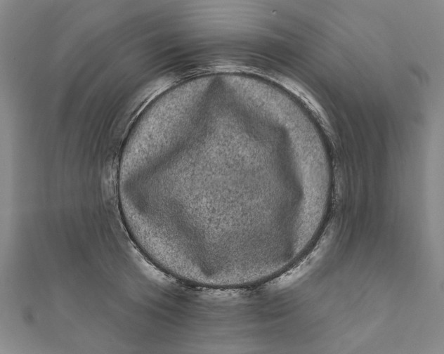 X0000110940801200907101246