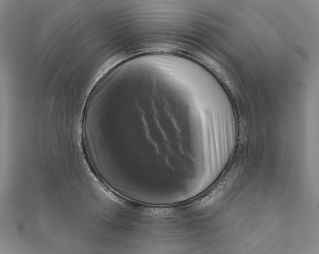 X0000110940802200907101246