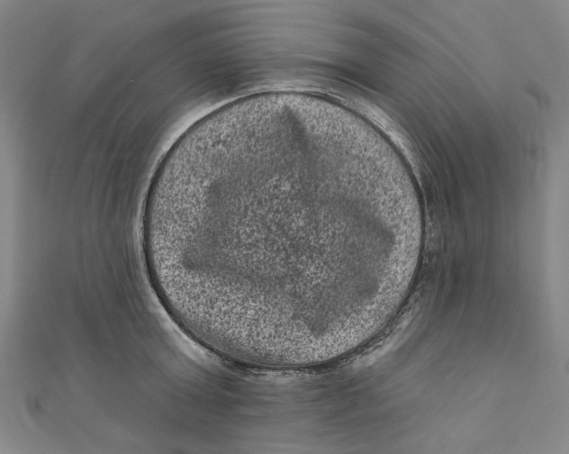 X0000110940803200907101246