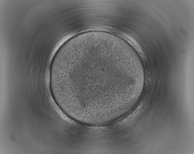 X0000110940804200907101246