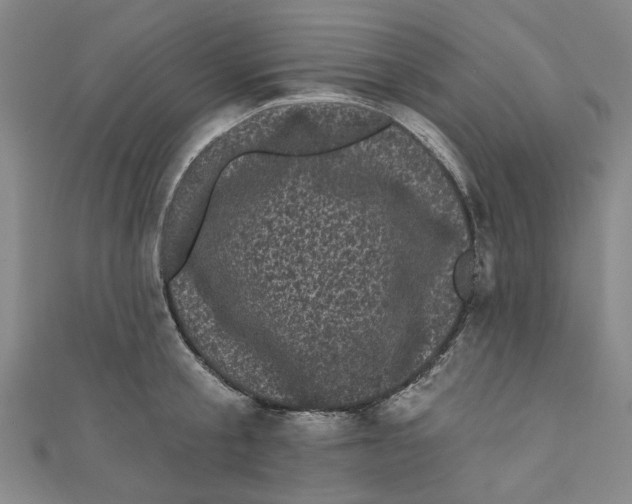 X0000110940805200907101246