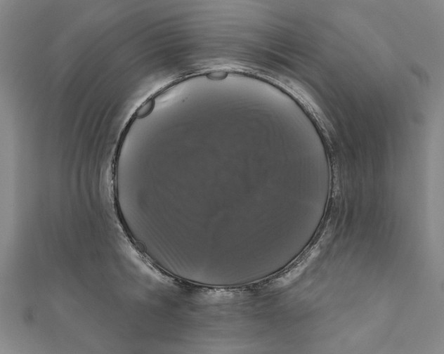 X0000110940806200907101246