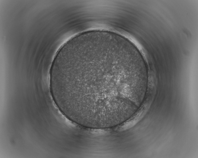 X0000110940807200907101246