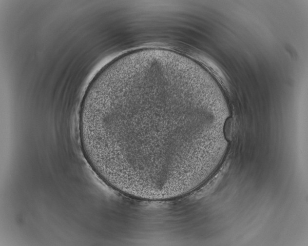 X0000110940808200907101246