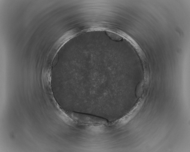 X0000110940809200907101246