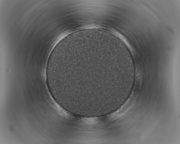 X0000110940810200907101245