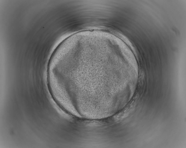 X0000110940811200907101245