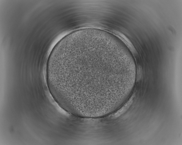 X0000110940812200907101245