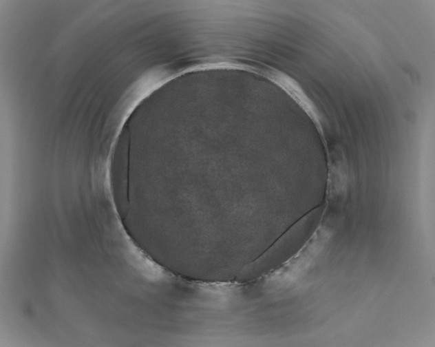 X0000110940813200907101245