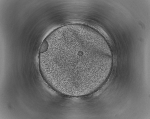 X0000110940814200907101245