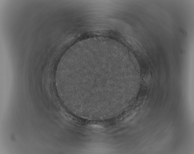 X0000110940817200907101245