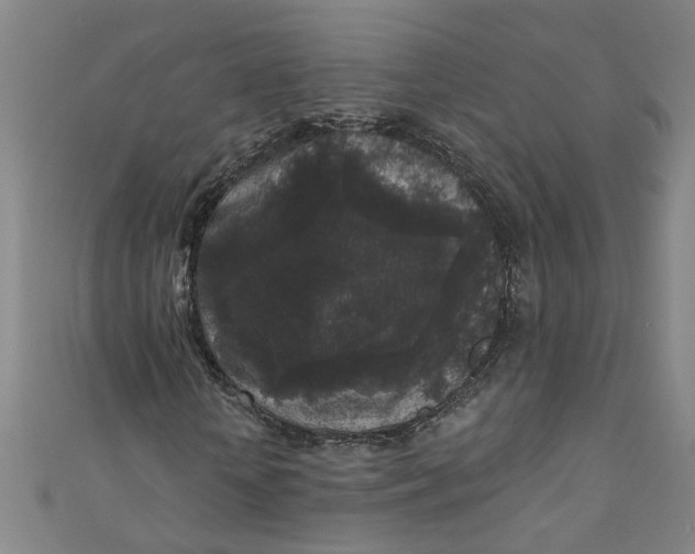 X0000110940818200907101245