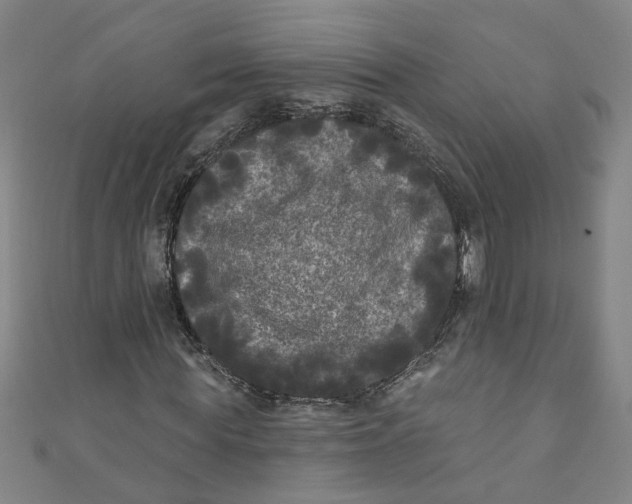 X0000110940819200907101245