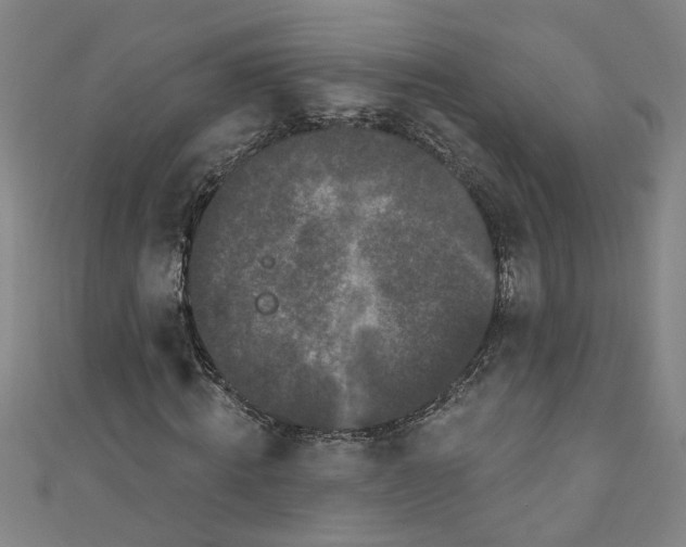 X0000110940820200907101245