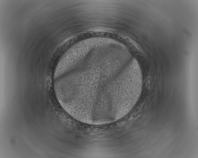 X0000110940821200907101245