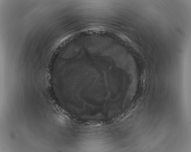 X0000110940822200907101245
