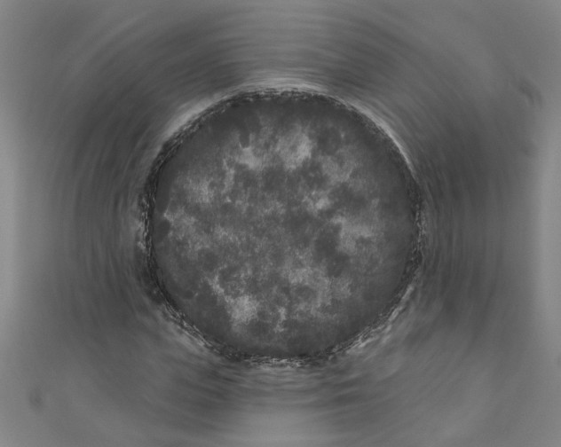 X0000110940823200907101245