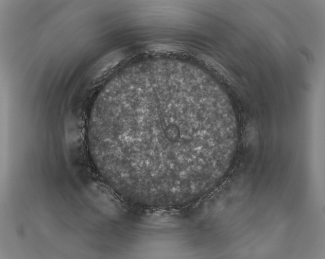 X0000110940824200907101245