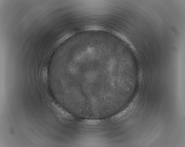 X0000110940825200907101245