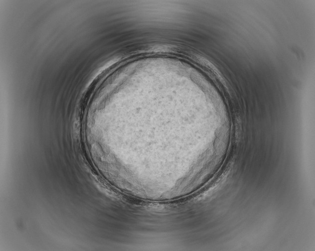 X0000110940827200907101245