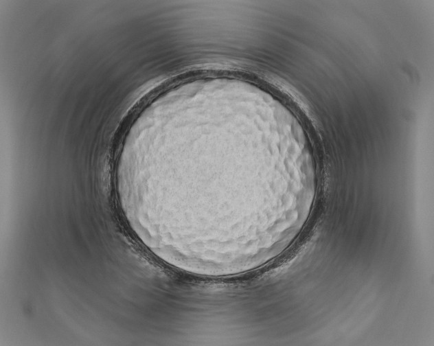 X0000110940829200907101245