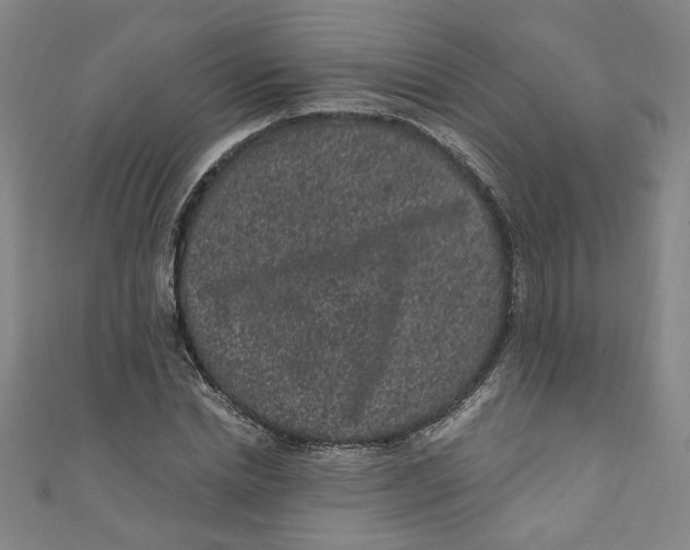 X0000110940830200907101245