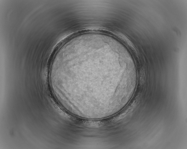 X0000110940831200907101245