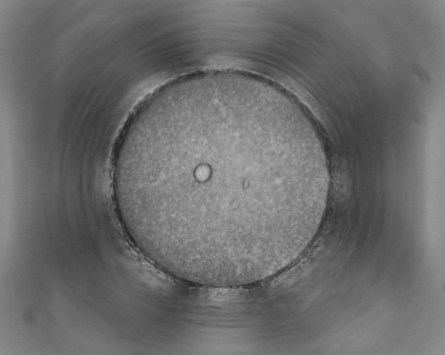 X0000110940832200907101245