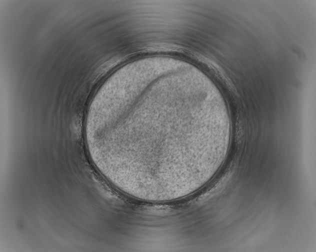 X0000110940833200907101245