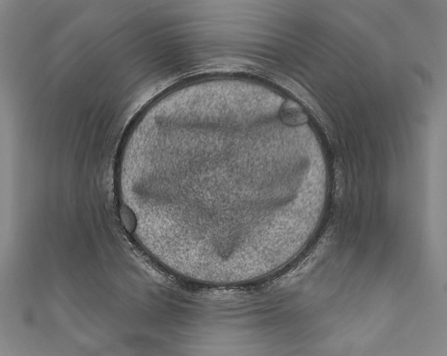 X0000110940834200907101245