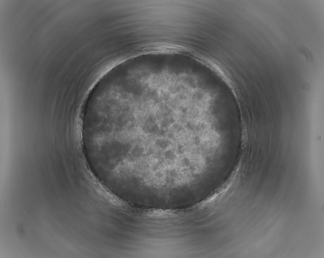 X0000110940835200907101245