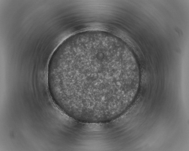 X0000110940836200907101245