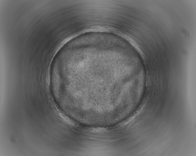 X0000110940837200907101245