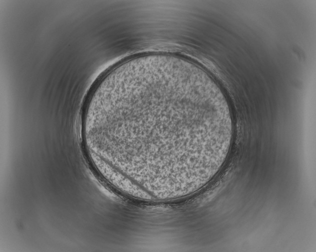 X0000110940838200907101245