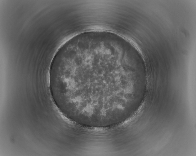 X0000110940839200907101245