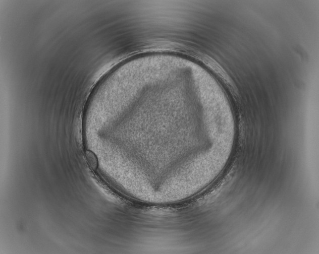 X0000110940842200907101245