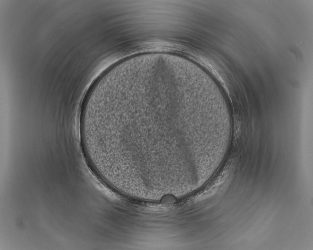 X0000110940843200907101245