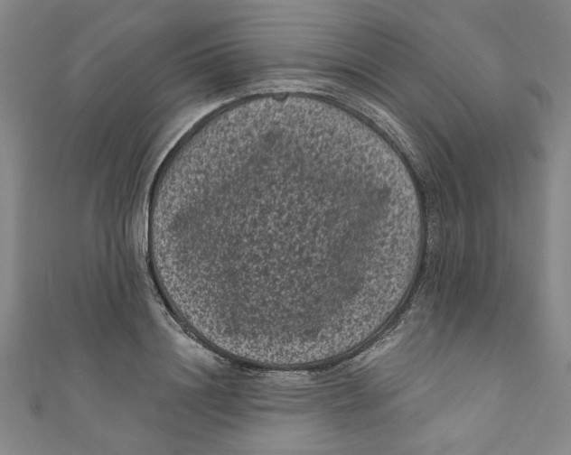 X0000110940844200907101245