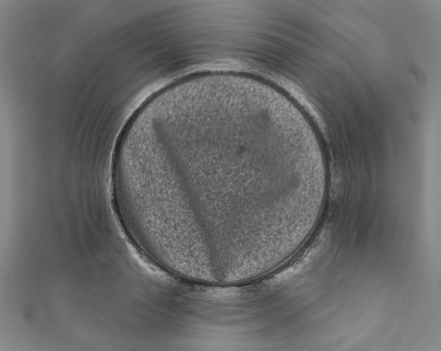 X0000110940845200907101245