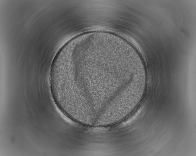 X0000110940847200907101245